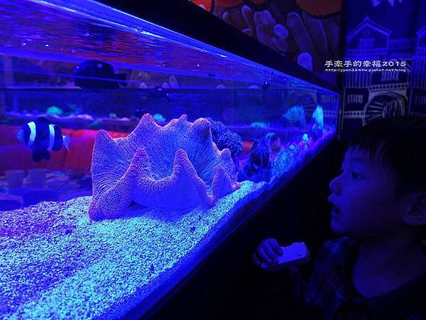 尼莫先生160212031