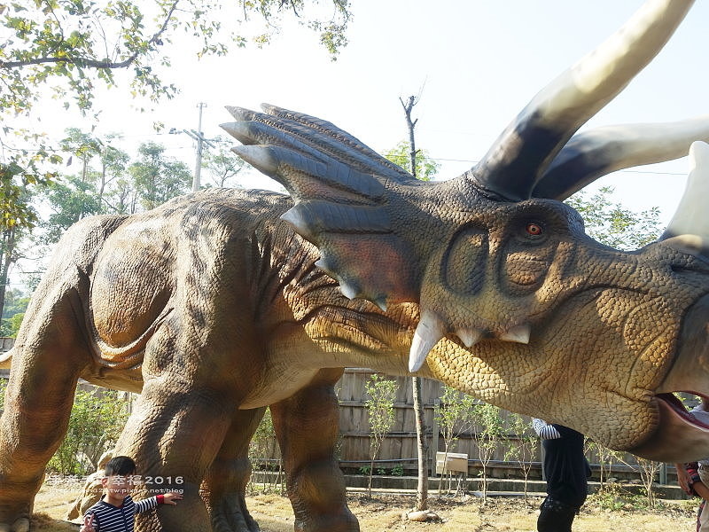 百果山探索樂園161218036 百果山探索樂園161218036