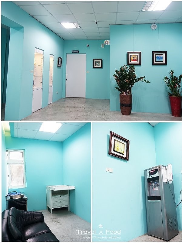 莎貝莉娜170311033 莎貝莉娜170311033