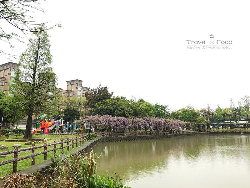 大湖公園紫藤花170411001