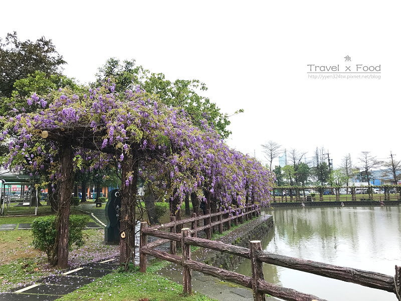 大湖公園紫藤花170411002