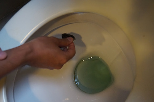 Eliminate toilet scale and uri