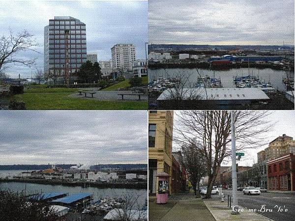 tacoma 1.jpg