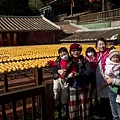 IMG_5002.jpg