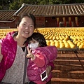 IMG_5001.jpg