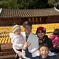 IMG_5008.jpg