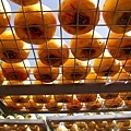 IMG_5015.jpg