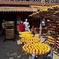 IMG_5048.jpg