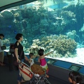 DSC07628.JPG
