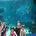 DSC07631.JPG