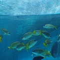 DSC07632.JPG