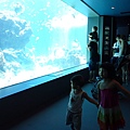 DSC07634.JPG