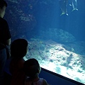 DSC07638.JPG