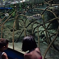 DSC07650.JPG