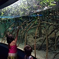 DSC07651.JPG
