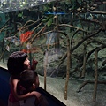 DSC07652.JPG