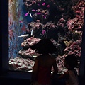 DSC07653.JPG