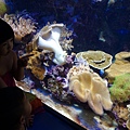 DSC07657.JPG