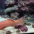 DSC07658.JPG