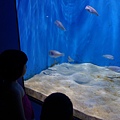 DSC07659.JPG