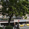 IMG_1330.jpg