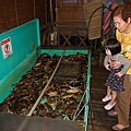 IMG_0067.jpg