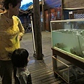 IMG_0073.jpg