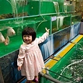 IMG_0042.jpg