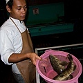 IMG_0069.jpg