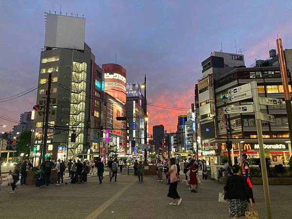 2023夏・日本東京出差六天