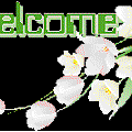 welcome-31.gif