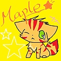 MAPLE.jpg