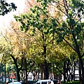 2010 01 03 (29).jpg