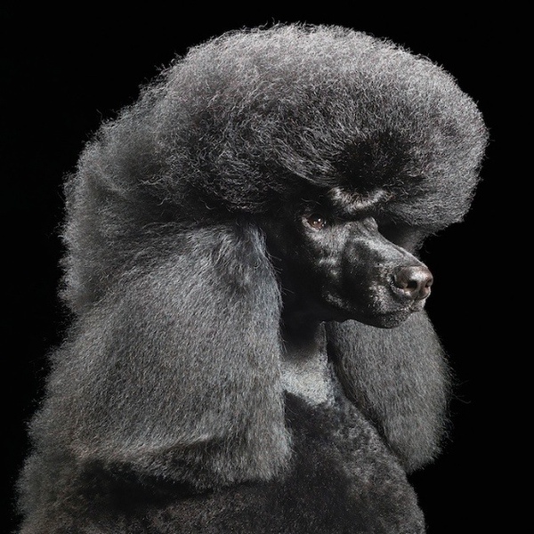 timflach13-thumb.jpg