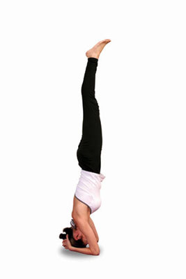再度踏進ashtanga的教室 11 09 Z11 Gadda的美食生活 痞客邦 再度踏進ashtanga的教室 11 09 Z11 Gadda的美食生活 痞客邦