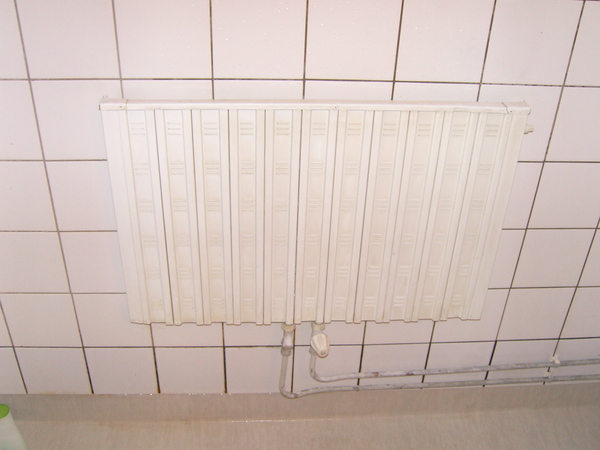 浴室的radiator