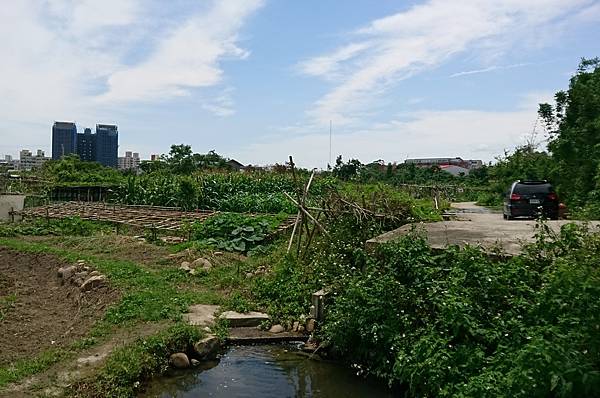 水源充足種植方便