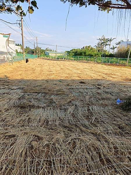 新屋㊣三民路二段農地+資材室