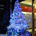 Christmas-2010.JPG