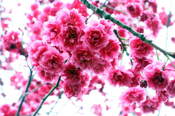 e1faa283111 (10) e1faa283111 (10)