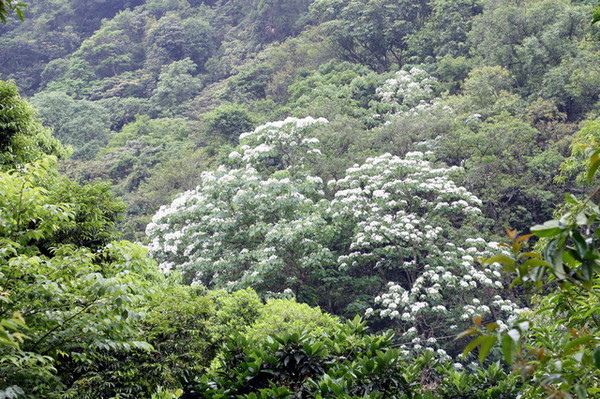e616 (36) e616 (36)