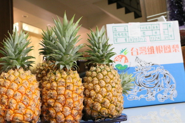 維根鳳梨 (1) 維根鳳梨 (1)