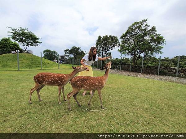 20190616_112107.jpg 20190616_112107.jpg