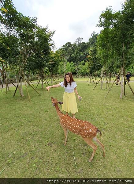 20190616_111218.jpg 20190616_111218.jpg