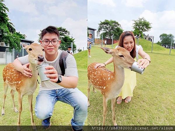 pt2019_06_17_22_14_27.jpg pt2019_06_17_22_14_27.jpg