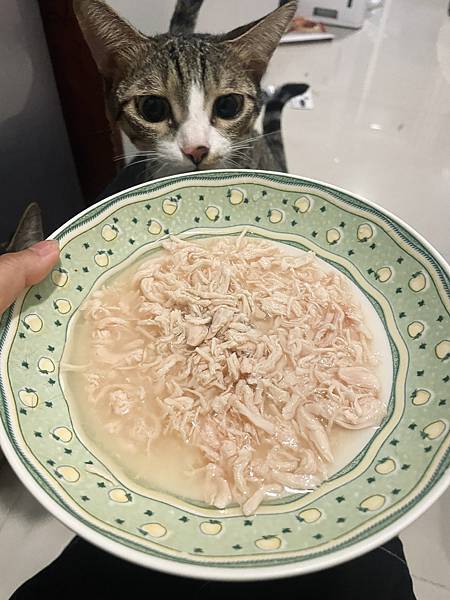 【肉食主義】喵樂 主子食肉大滿足 海陸大餐肉食趣