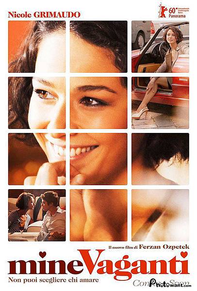 愛情流彈 Loose Cannons S.jpg