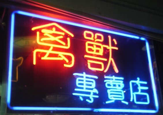 禽獸專賣店