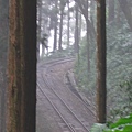 森林鐵道~