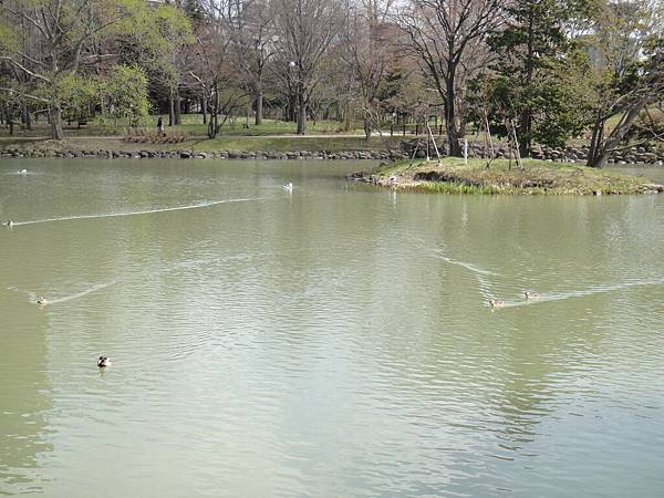 [札幌] 中島公園10.JPG